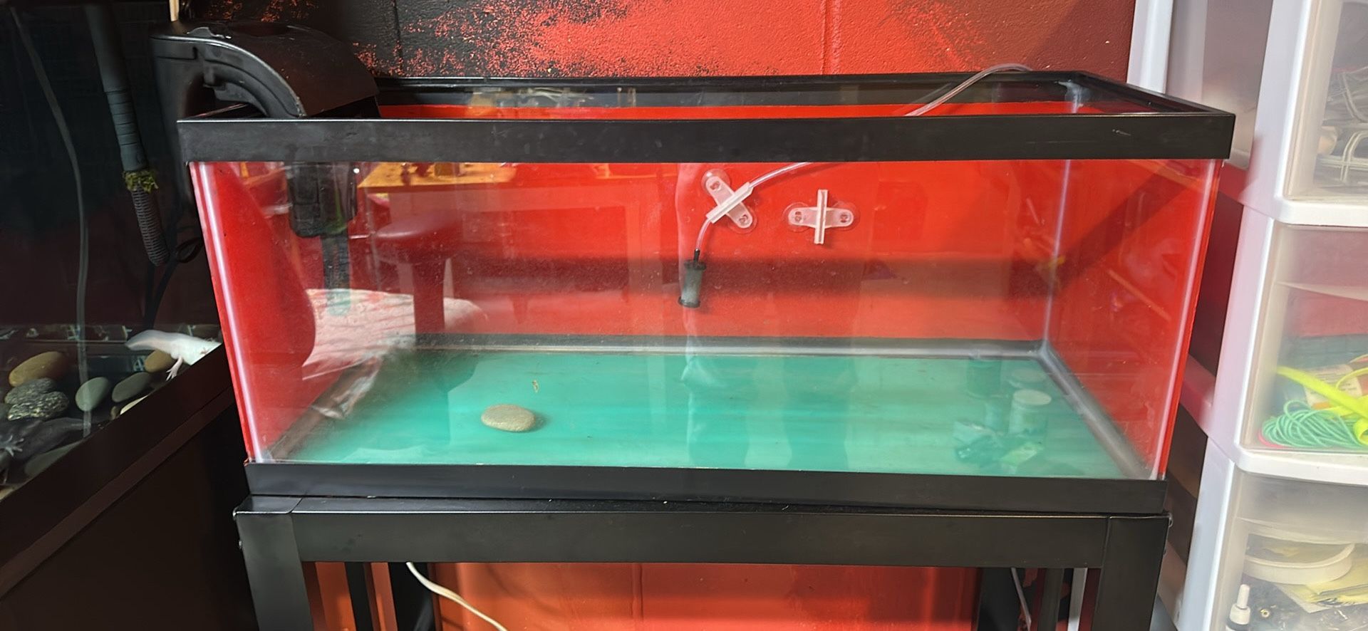 20 Gallon Long Tank