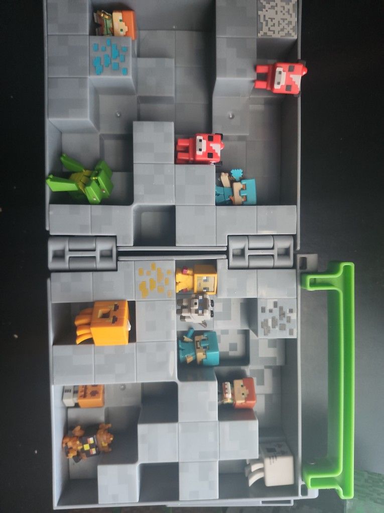 Minecraft Carrying Case