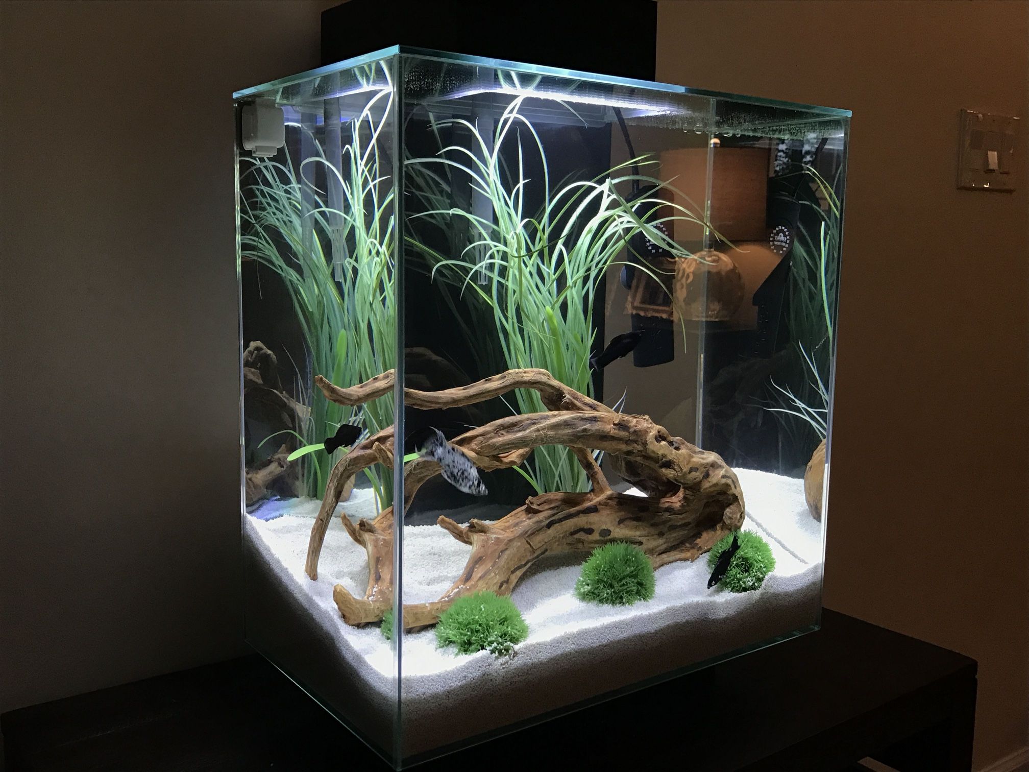 Fluval Edge 2.0 12 Gallon Aquarium