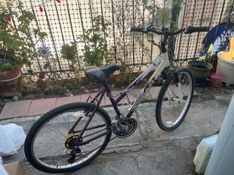 Diamondback Outlook Purple Bike
