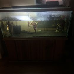 55 Gal Fish Tank With Stand 
