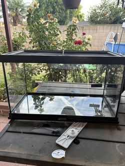 10 gallon tank
