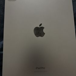 iPad Pro 11inch 4th Generation 