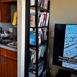 $450.00 or Best Offer for Book shelf with 150 Personal Development, Self-help Books!