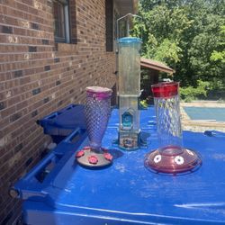 Bird Feeders 