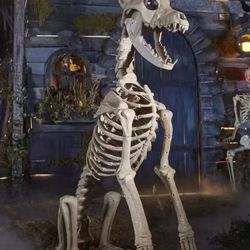 Halloween 5ft Skelton Dog