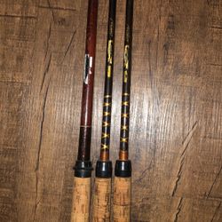 Roddy Fishing Rods