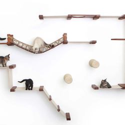 Indoor Cat Playground 
