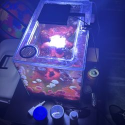 Salt Water Fish Tank With Fish And Coral 