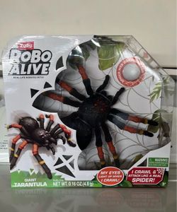 Spider