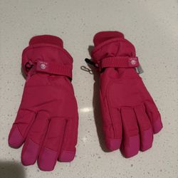 Snow Gloves 