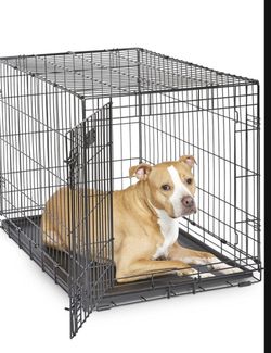 Dog Kennel
