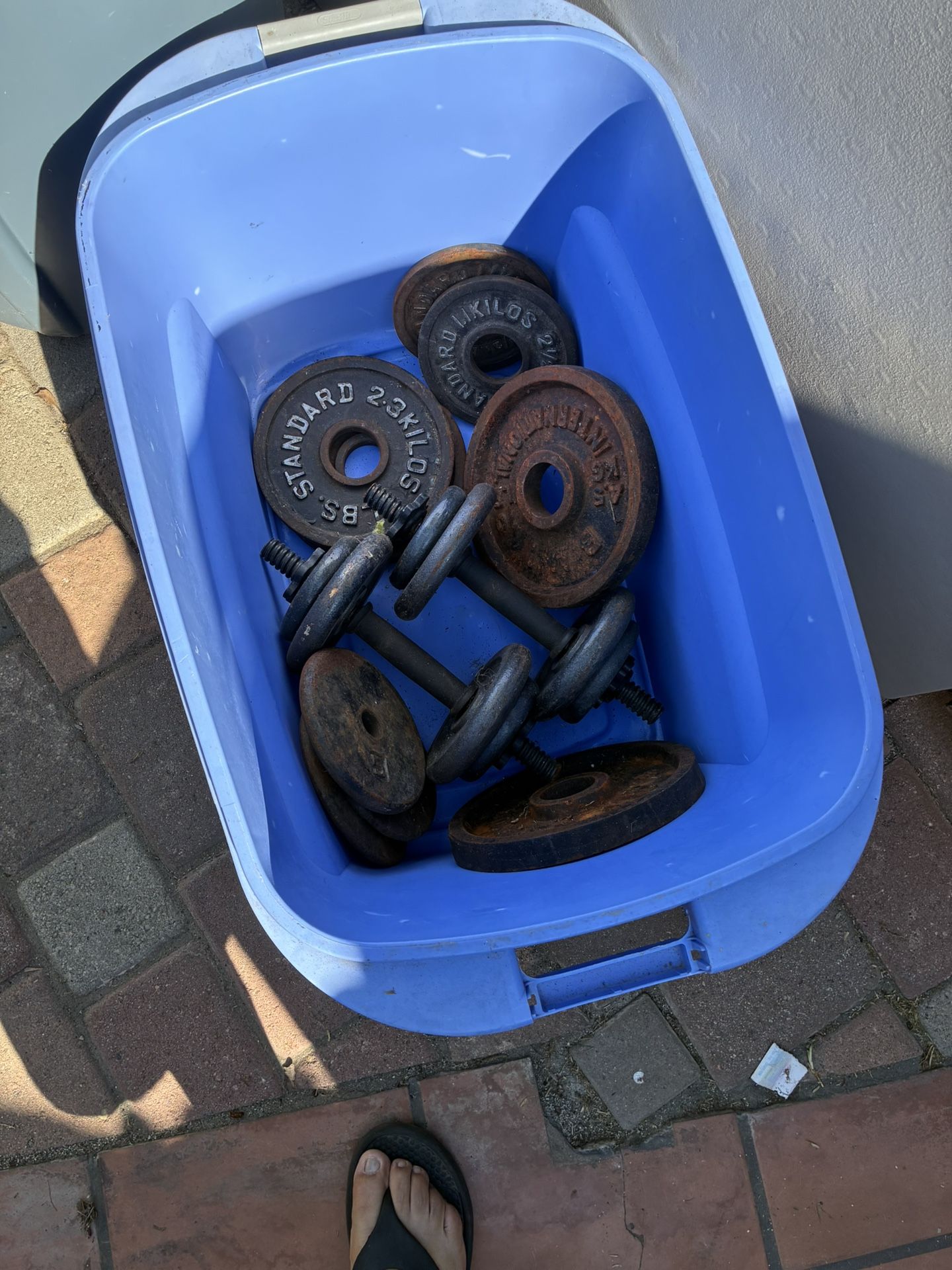 1-Curl Bar - 2-15b Dumbbells-2- 10 4-5b 2 1/2 Good