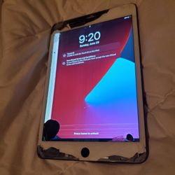 Apple iPad Mini 5th Gen - For Parts