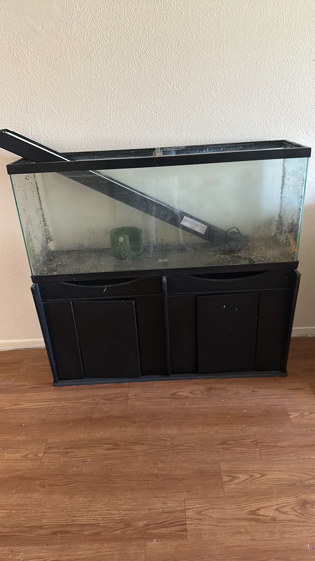 Large Fish tank