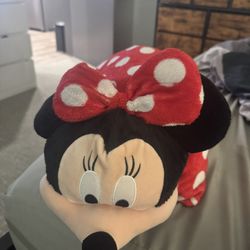 minnie pillow pet :)