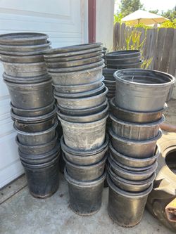 5 gallon pots $0.60 each