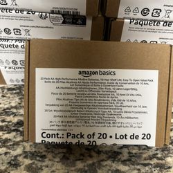 Basic Amazon AA Batteries 