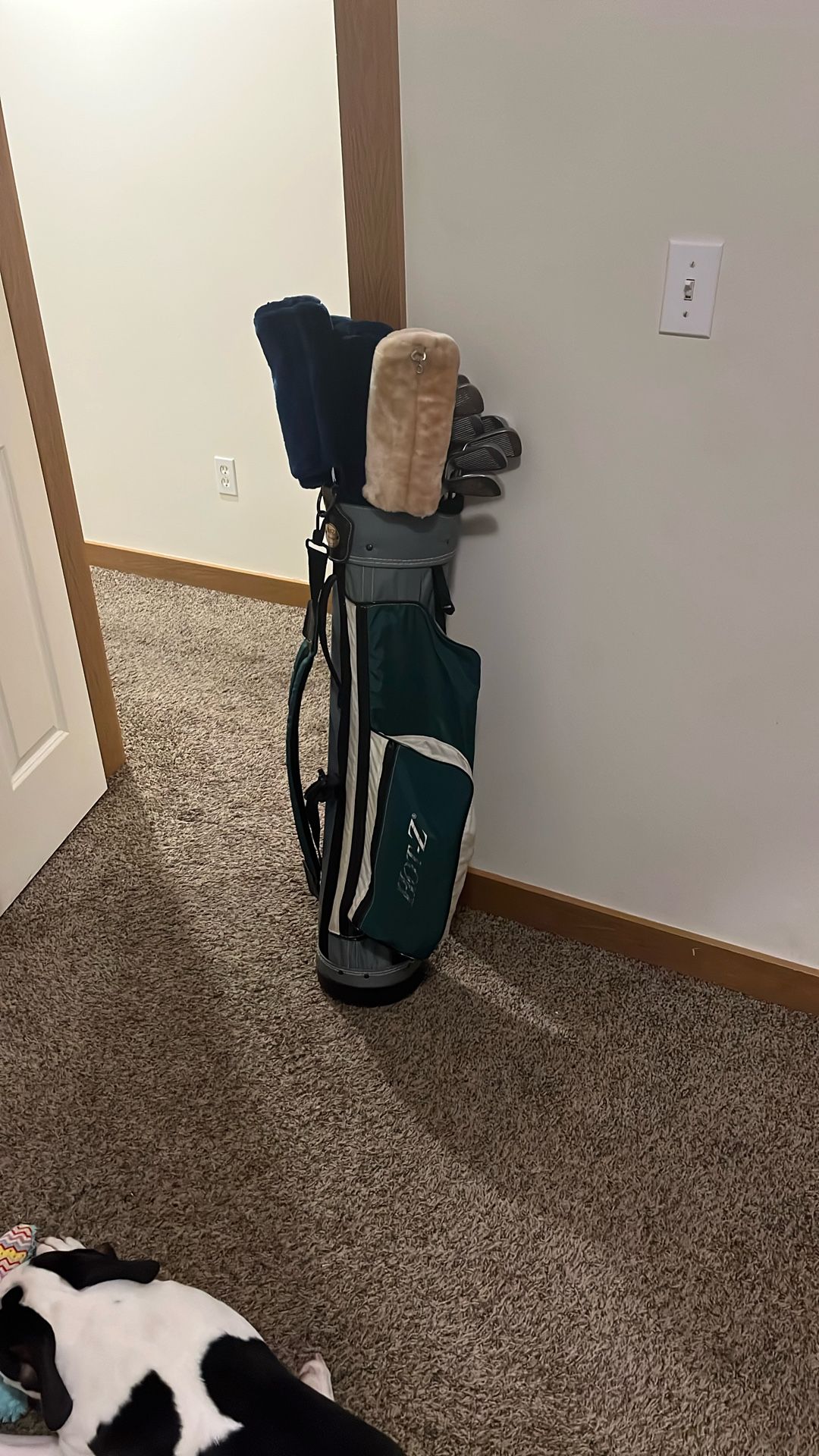 Golf bag and Clubs