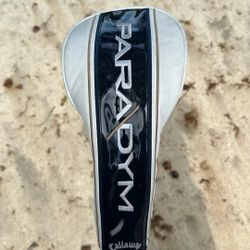 Paradyme driver
