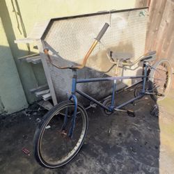 Schwinn Double Seat Bike