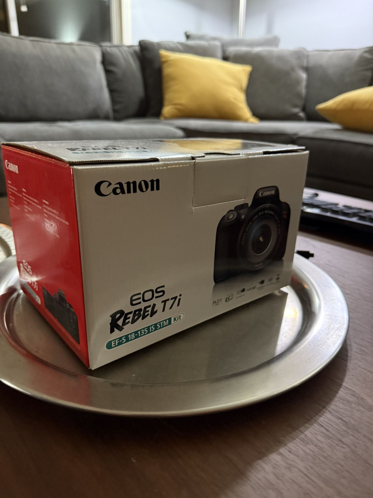 Canon EOS Rebel T7i w/18-55 kit lens