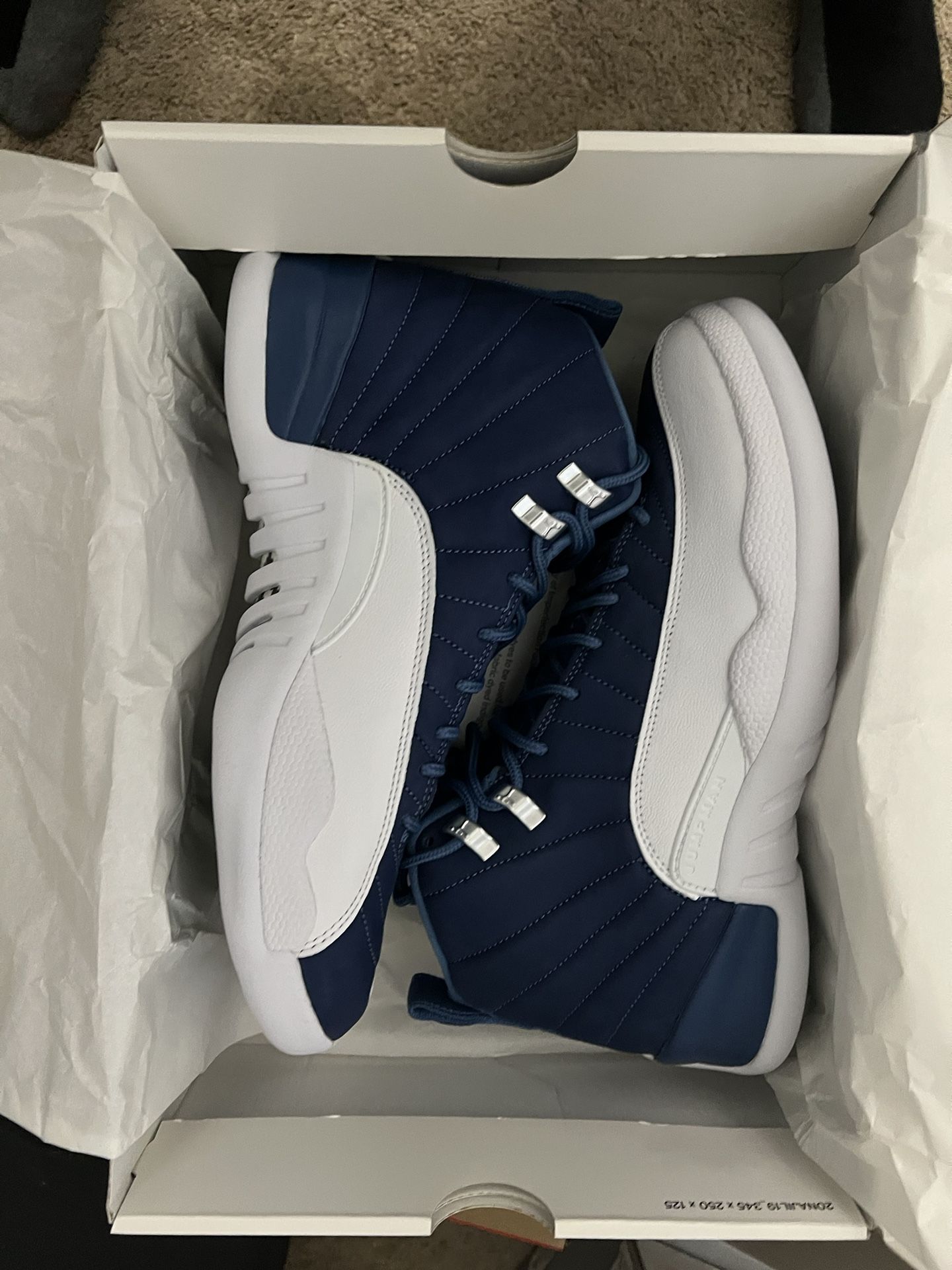 Jordan 12 Size 10