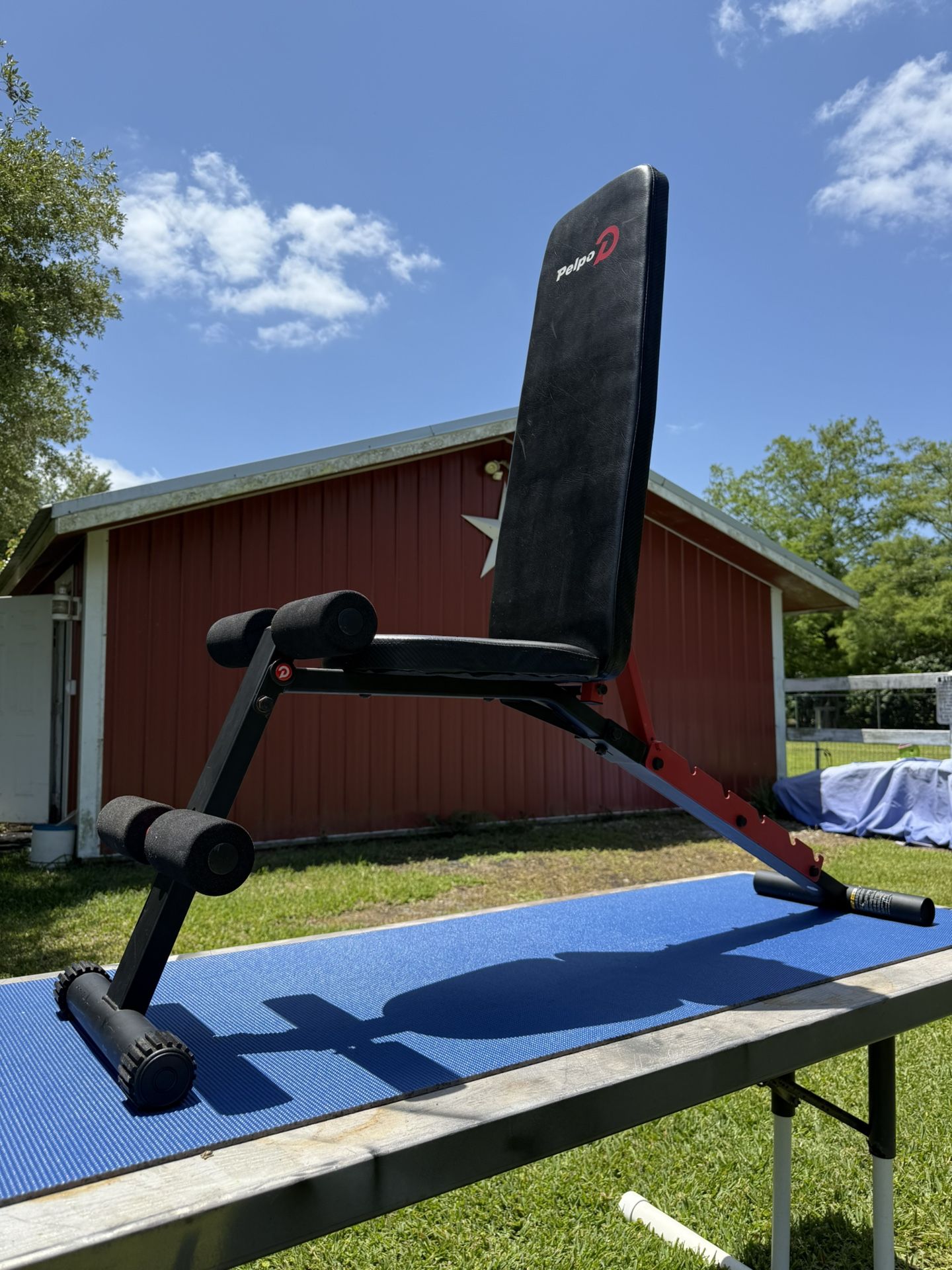 Fully Adjustable Weight Workout Bench