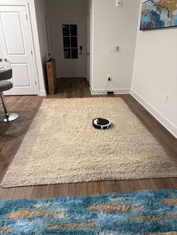 8x10 Beige rug.