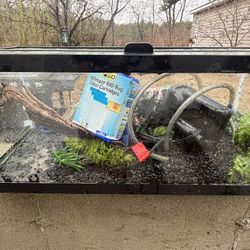 20 Gallon Long Fish tank Everything You Need