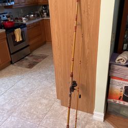 2 Piece Surf Rod With Penn Reel