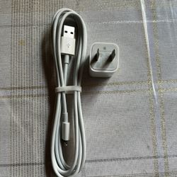 Apple Charger