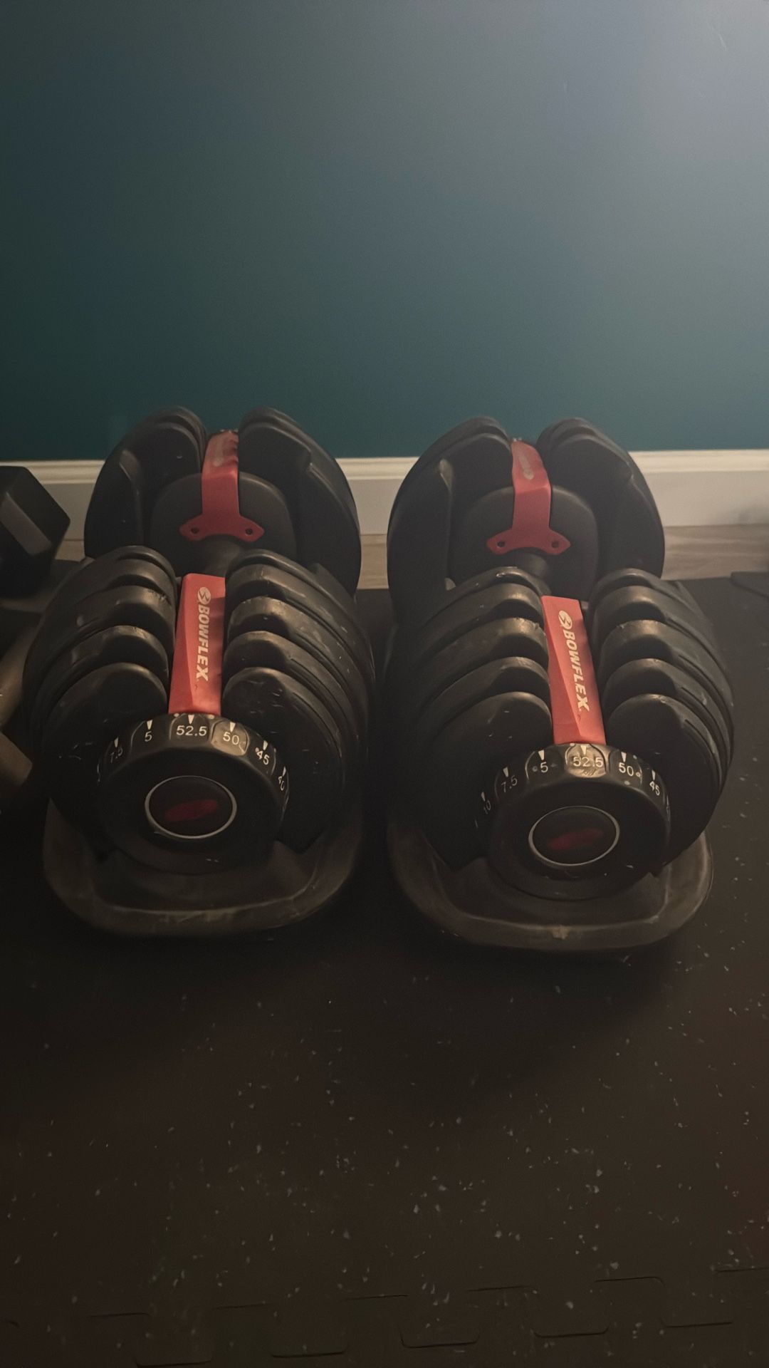 Adjustable Dumbbells