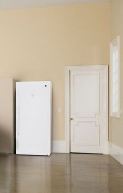 Like New GE Standing freezer