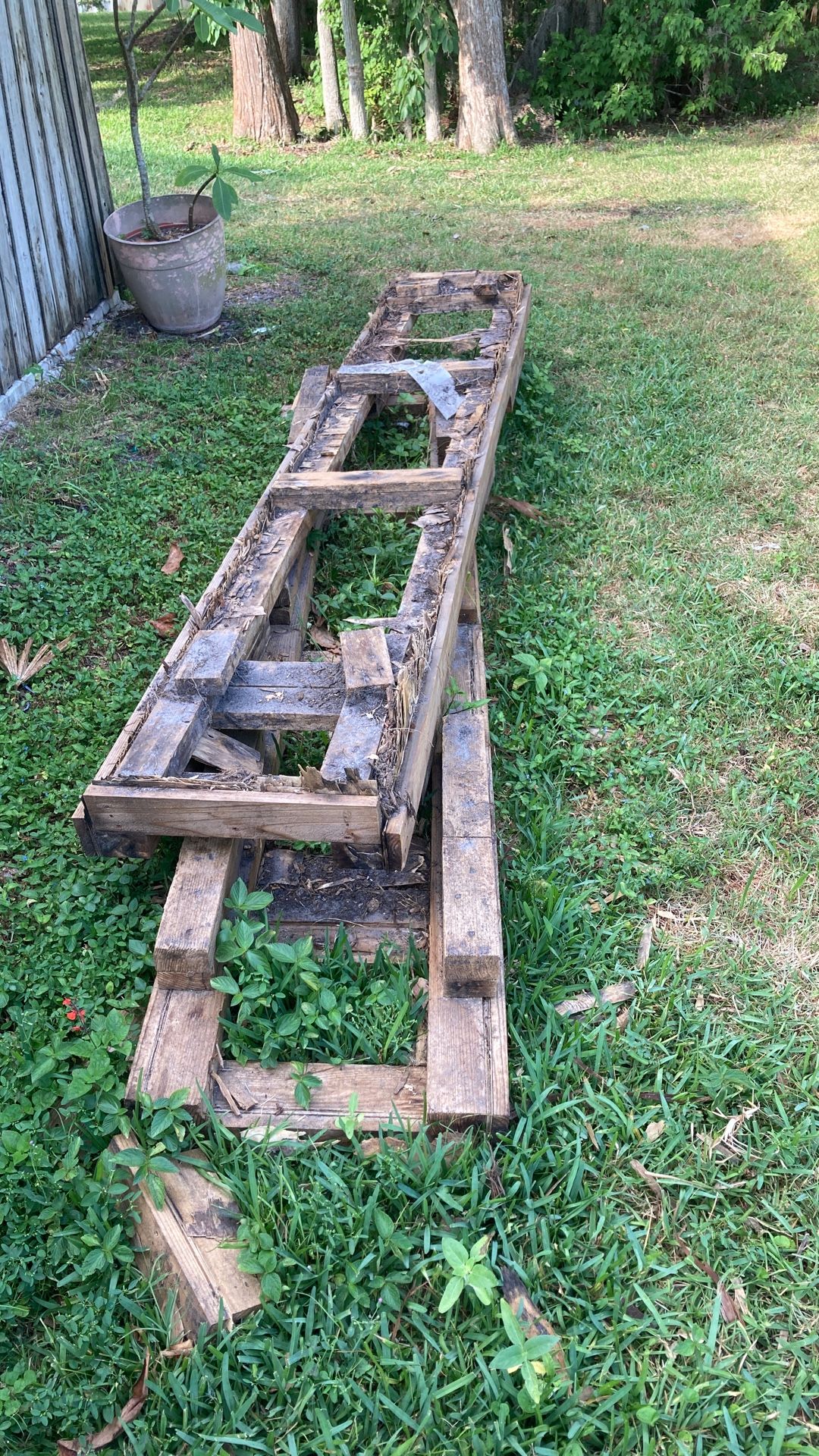 Free Wood In Oldsmar Near Tampa Bay Ice Rink