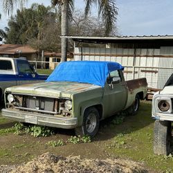 1975 C10 Short Bed Original Patina Color 