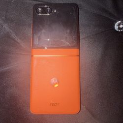 2024 Motorola Razr Flip