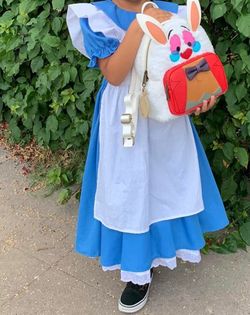 Alice in wonderland costume