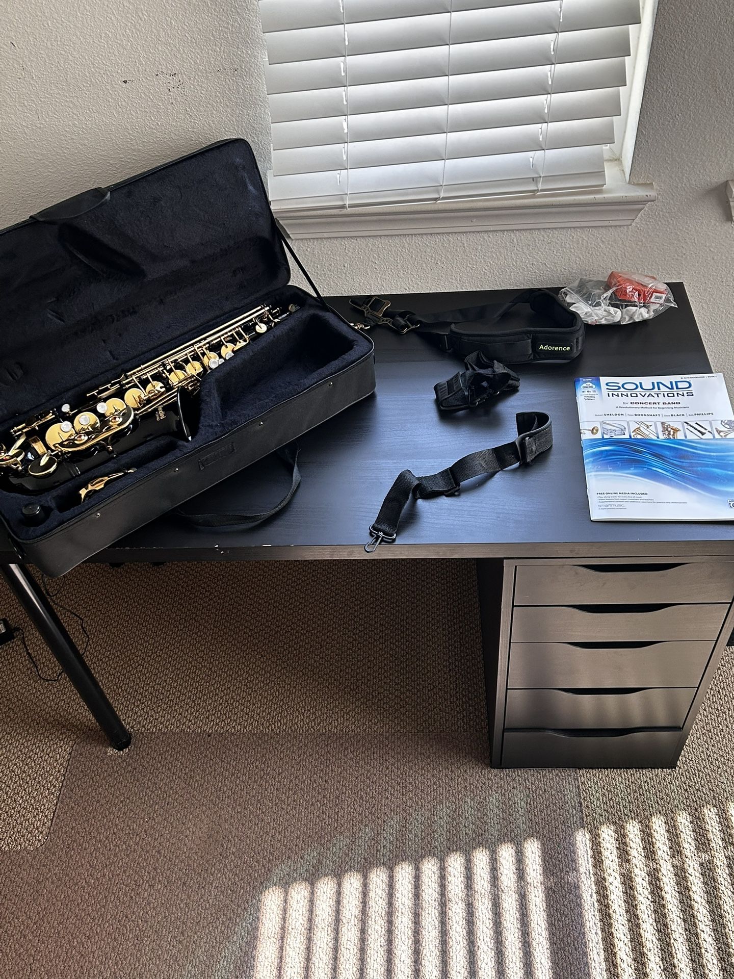 Alto Saxophone ( Color: Black And Gold )