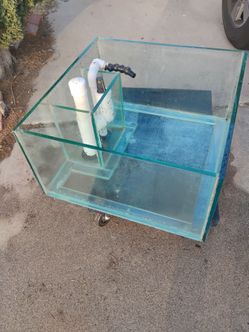 32 Gallon Custom Shallow Aquarium