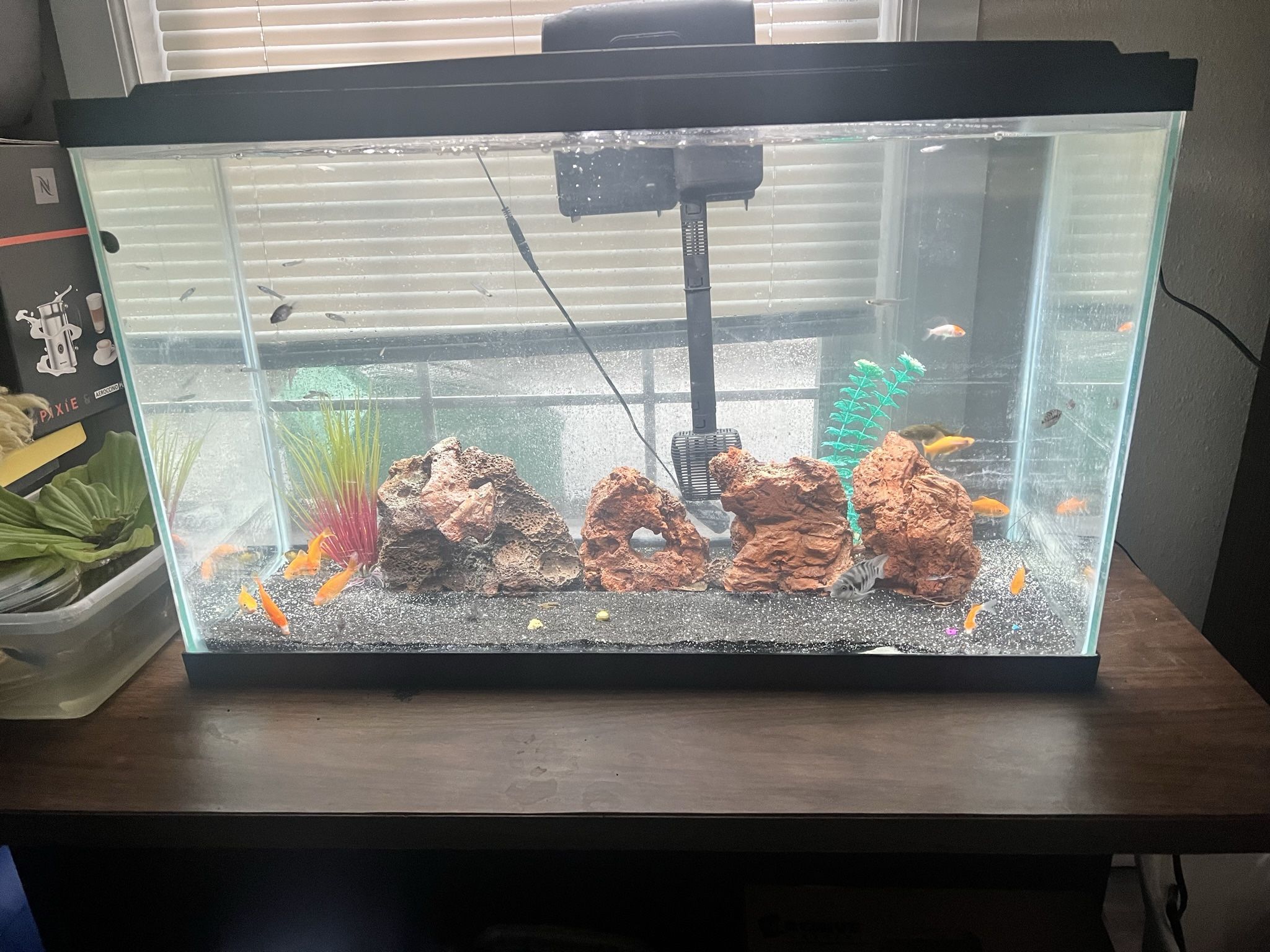 Aqueon 29 Gallon Aquarium Kit