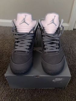 Air Jordan Wolf grey 5s