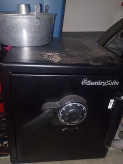 Sentry Safe