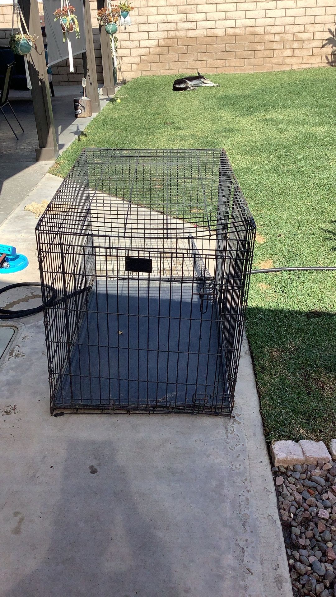 Dog Crate