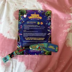 Beyond Wonderland general admission 2 day