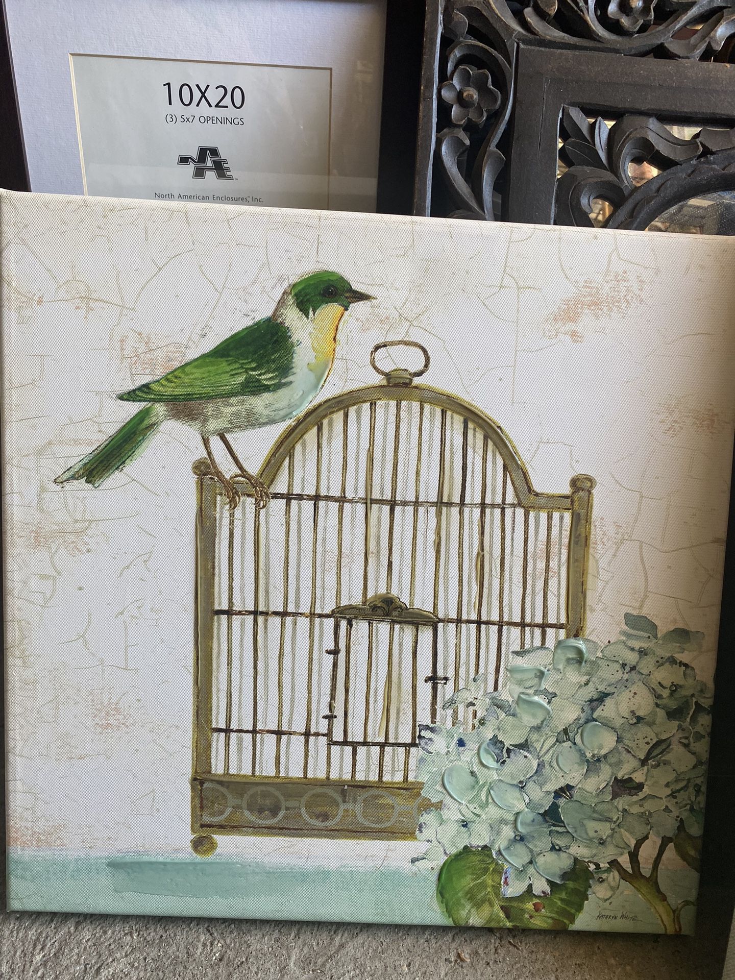 Bird Cage Canvas Frame 18x18