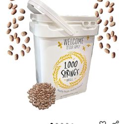 Organic Pinto Beans