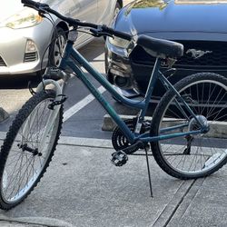 Roadmaster Bicycle Woman 🚲 