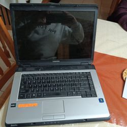 Toshiba L305D laptop