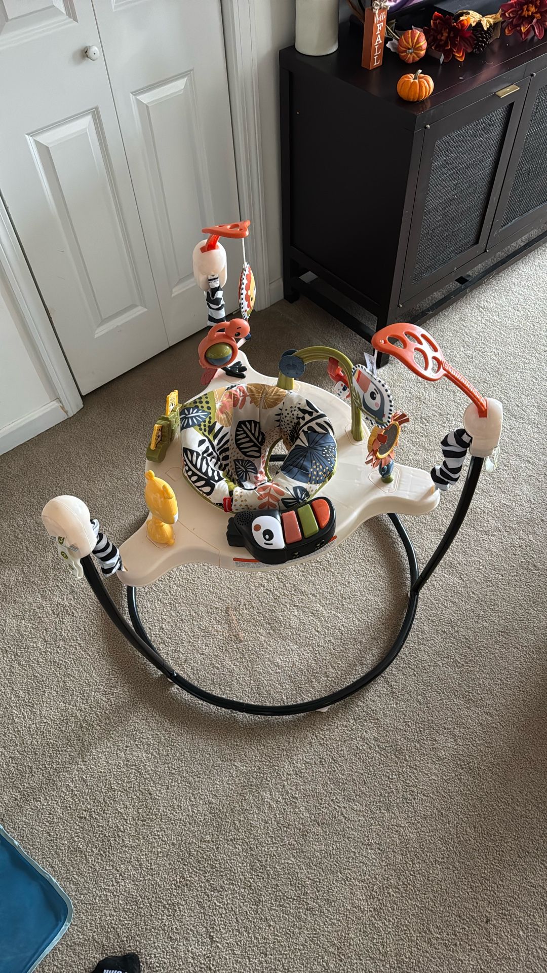 Fisher-Price “Palm Paradise” Infant Bouncer